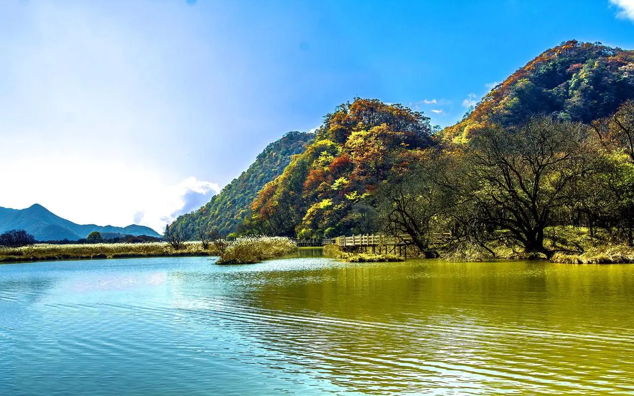 智能高端